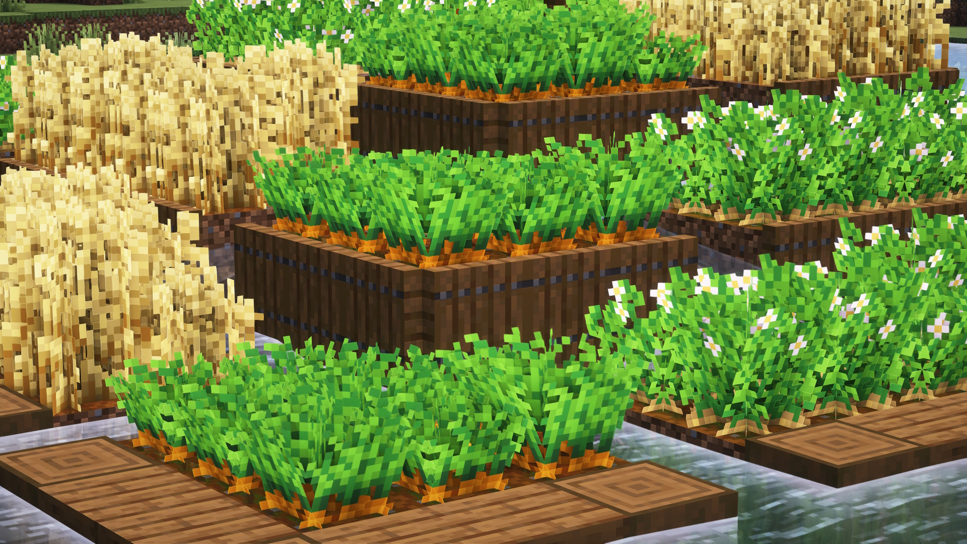 (Bee's) Fancy Crops