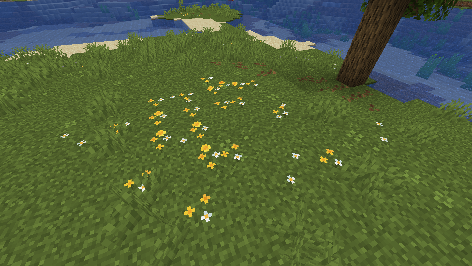 Simple Grass Flowers
