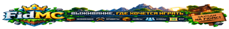 Баннер сервера FidMC