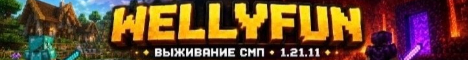 Баннер сервера wellyfun