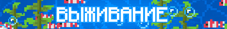 Баннер сервера PlayMine
